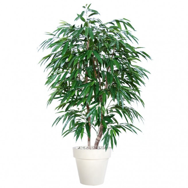 Planta semi-artificiala Ila, Longifolia Natural Style Green - 180 cm